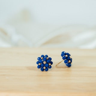 Cristal Beaded Studs
