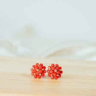 Cristal Beaded Studs